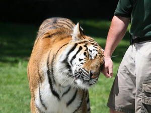 (Shutterstock/ File Photo)