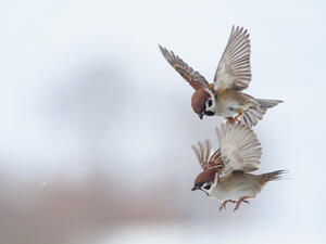 (Shutterstock/ File Photo)