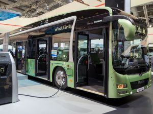 (Shutterstock/ File Photo)