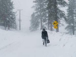 (Shutterstock/ File Photo)