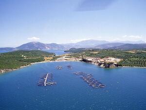 Above, a fish farming facility in the Mediterranean Sea. Sovereign investors across the region are increasingly investing in food resources on land and sea as a growing global population needs feeding. (Mubadala)