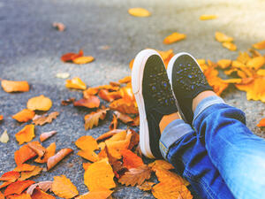 توقعات الأبراج اليوم الجمعة 11 تشرين الثاني/ نوفمبر 2016

