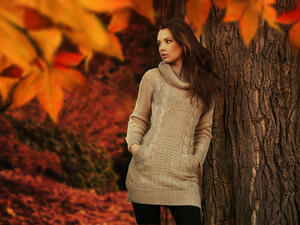 توقعات الأبراج اليوم الإثنين 7 تشرين الثاني/ نوفمبر 2016

