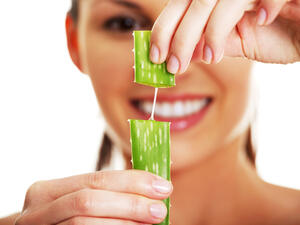 نبات الصبار من النباتات الطبيعية المفيدة جدا للبشرة