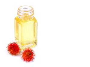 فوائد زيت الخروع للجنس أنه يعمل على التخلص من سرعه القذف