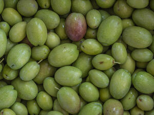 الزّيتون المرصوص من أشهر المخللات التي يتمّ تصنيعها في الكثير من المنازل