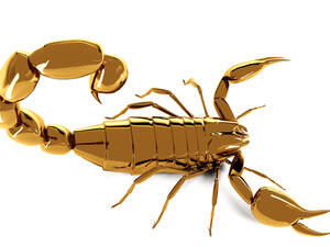 توقعات برج العقرب 2016