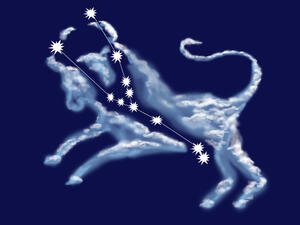 توقعات برج الثور 2016 من ماغي فرح