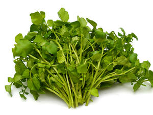 للجرجير فوائد كثيرة بشكل عام
