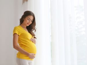 زهور البرسيم الأحمر عشبة رائعة تساعد على زيادة الخصوبة
