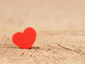 الرجال يفضلون الورود