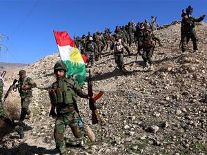 Iraqi Kurdish Peshmerga forces and fighters from the Yezidi community hold a Kurdish flag. (AFP/File)
