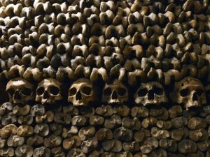Skulls seen in Parisian catacombs. (AFP/File)
