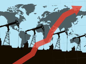 On Tuesday, the executive director of the International Energy Agency (IEA), Fatih Birol, warned that high oil prices hurt consumers and could harm producers. (Shutterstock)