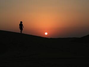 The proposed project was to be built in Shinas province, on the northwestern coast of Oman. (Pixabay)