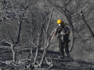 رجل اطفاء اسرائيلي يقف وسط اشجار اتت عليها النيران