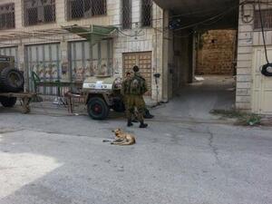 جنود الاحتلال في شوارع مدينة الخليل جنوب الضفة الغربية