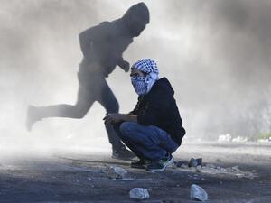  دولة فلسطين تسعى حاليا للانضمام إلى مزيد من المنظمات الدولية