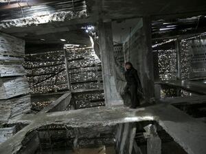 Dutch artist Marjan Neeuwen stands inside the destroyed Gaza home she reconstructed into an art installation. (AFP/Said Khatib)