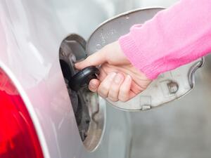 Prices had gone up in the month of August as well, compared to the previous month. (Shutterstock)