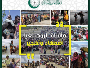  أزمة الروهينغيا هي مسألة عالمية تتصدى لها مختلف دول العالم