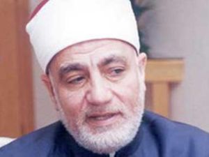 الشيخ نصر فريد واصل/ارشيف