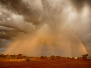 (Shutterstock/File Photo)