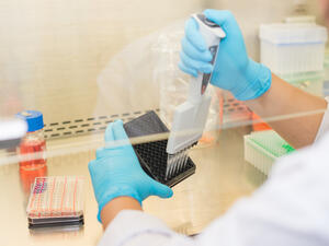 (Shutterstock/File Photo)