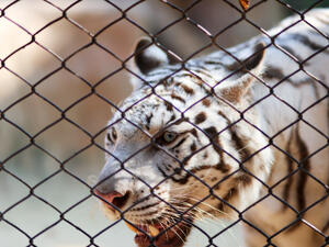 (Shutterstock/File Photo)