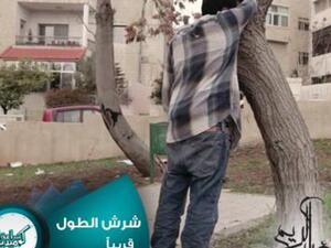 برنامج شرش الطول