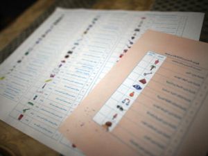 It seems everyone and their grandmother is going for Egypt's presidential position.