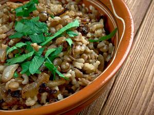 المجدرة السورية