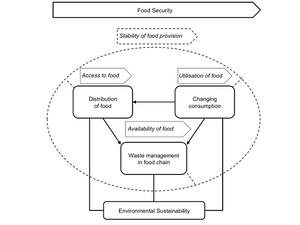 أجرى الباحثون في مشروع حماية الغذاء والبيئة في قطر تحليلاً مفصلاً عن أسباب هدر الطعام الذي يحدث خلال نقل الأغذية وتوزيعها وتداولها وحفظها.