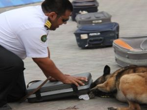 إحباط محاولة دخول 20910 وحدات تصوير تجسسية