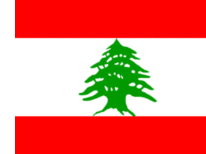 Mikati pointed to Lebanon’s “remarkable achievement” in terms of high growth rates in previous years, adding that the private sector would “always be ready to put its expertise at the disposal of Arab investors
