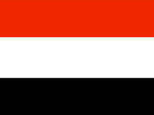 أرجع مختصون في الاقتصاد اليمني عدم انهيار الاقتصاد اليمني بسبب الاضطرابات السياسية والأمنية خلال العام الحالي إلى كونه اقتصادا غير منظم، إضافة إلى الدعم السعودي في مجال النفط