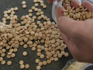 Cops found About 4,839,000 Captagon pills and more than 300 grams of cannabis. (AFP/ File Photo)
