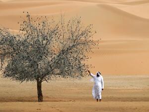 Haller said the Kingdom is “blessed abundantly with sun and wind,” and commended the Saudi government for taking bold steps to introduce renewables to the local energy portfolio. (AFP)