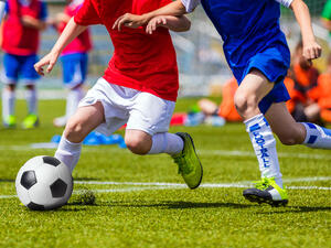 (Shutterstock/ File)