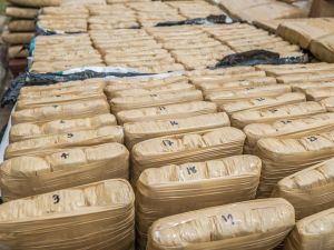 (Shutterstock/ File Photo)