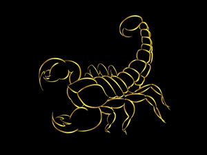 مواليد برج العقرب أصدقاء جيدون. امنحهم شيئًا وسيردونه لك أضعافًا