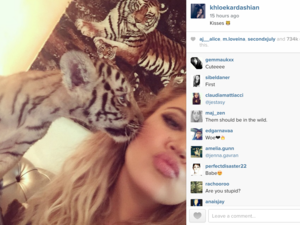Khloe's selfie with the cute tiger cub in Dubai. (Instagram)