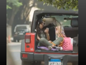 A cheeky monkey gets playful with Ghada Adel's face! (Screenshot)