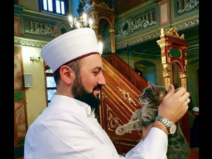 We wrote a post about people being cute with cats and we are not ashamed. (Twitter)