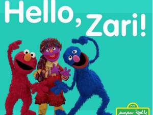 The Afghani version of Sesame Street has introduced a female puppet to promote girls' empowerment. (Instagram)