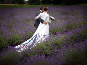 Comparing the romantic idyll so many of us are raised with to the sobering reality