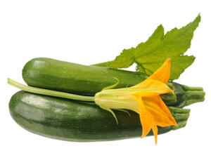 وصفات سهلة من زهر الكوسا للريجيم