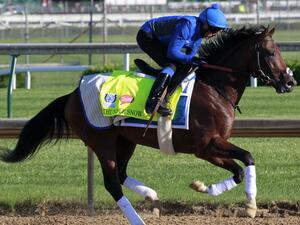 Thunder Snow will defend his title in the $12 million World Cup. File Photo by John Sommers (Photo: UPI)