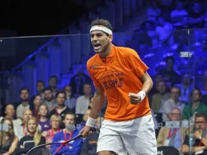 Mohamed ElShorbagy has been in scintillating form this season claiming seven titles.
(Supplied photo)
