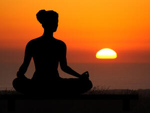 Exercise training programs should be considered in the future as possible complements to standard MS treatments